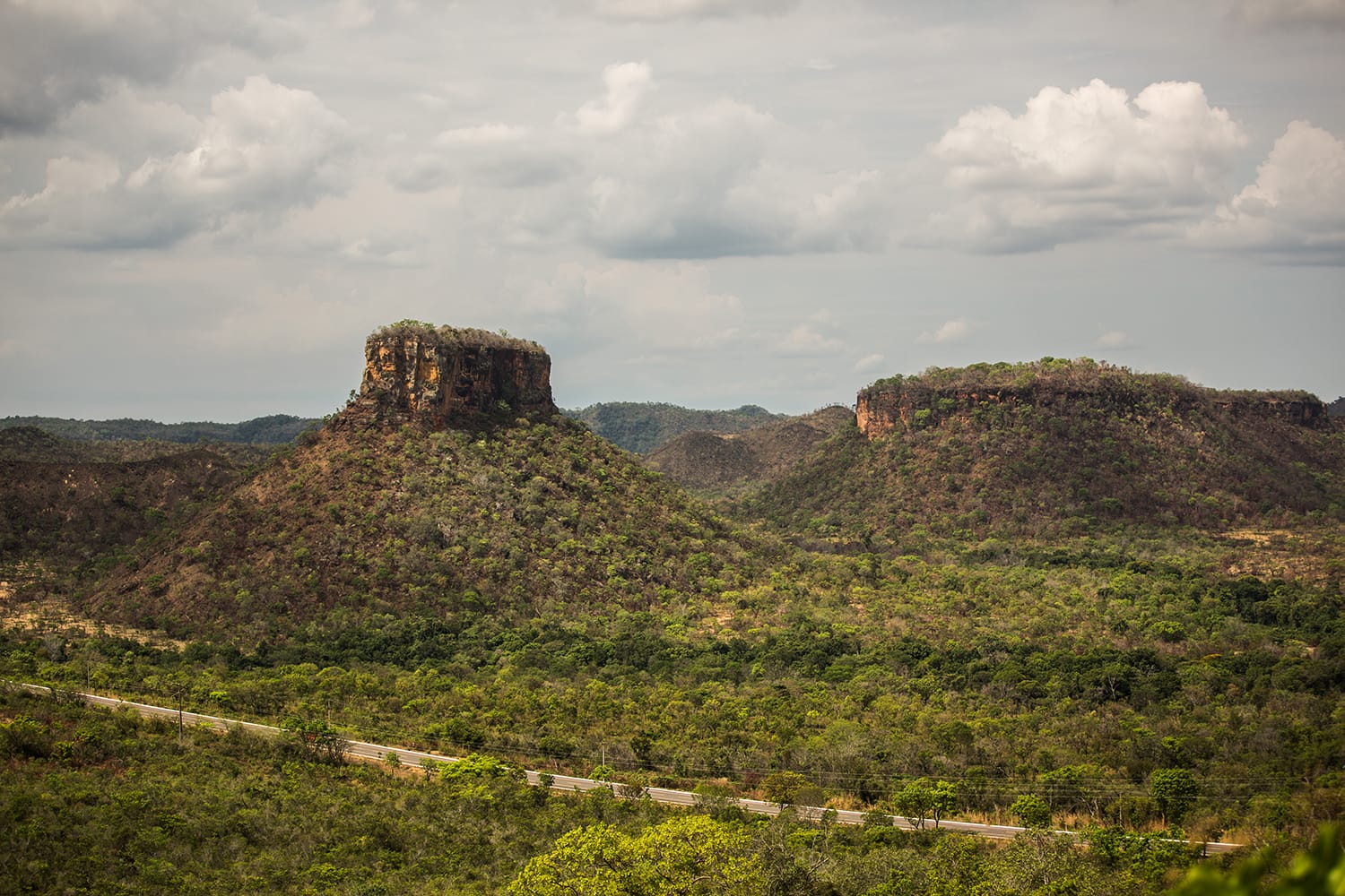 The Cerrado