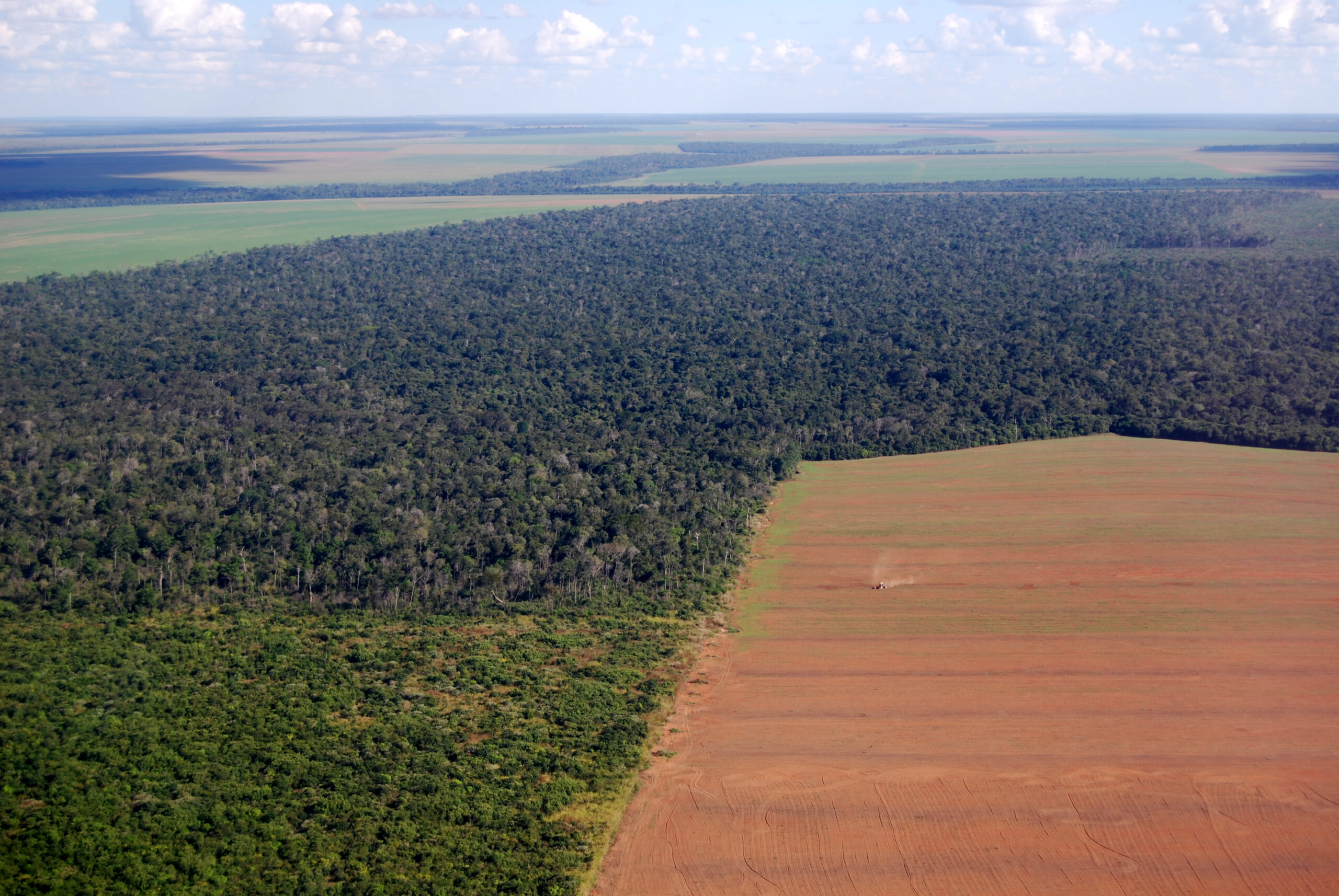 Aerial view of Amazon deforestation in Brazil